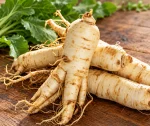 Rustic Horseradish Roots on Wood